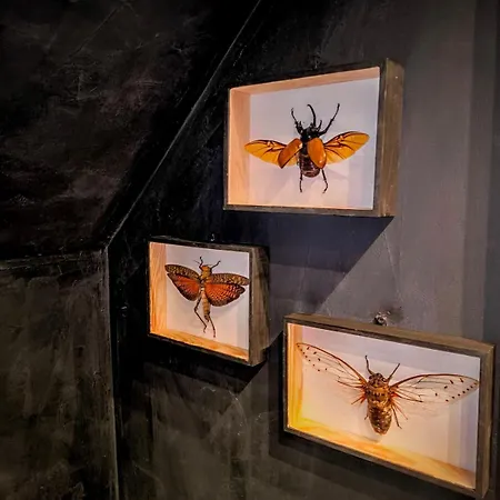 דירה Black Horse