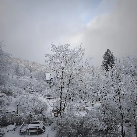 Black Horse * Karpacz