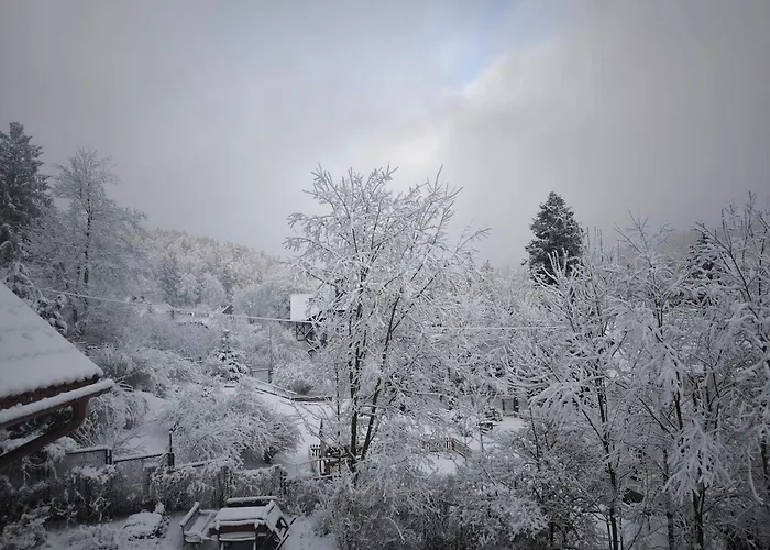 Black Horse * קרפאז'