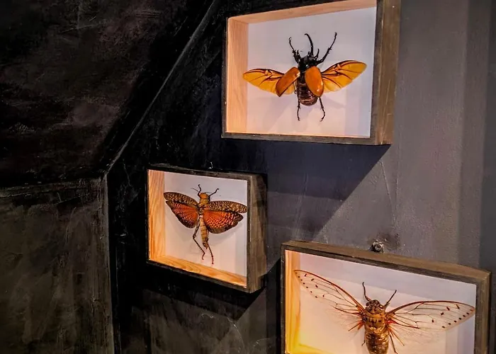 Apartament Black Horse